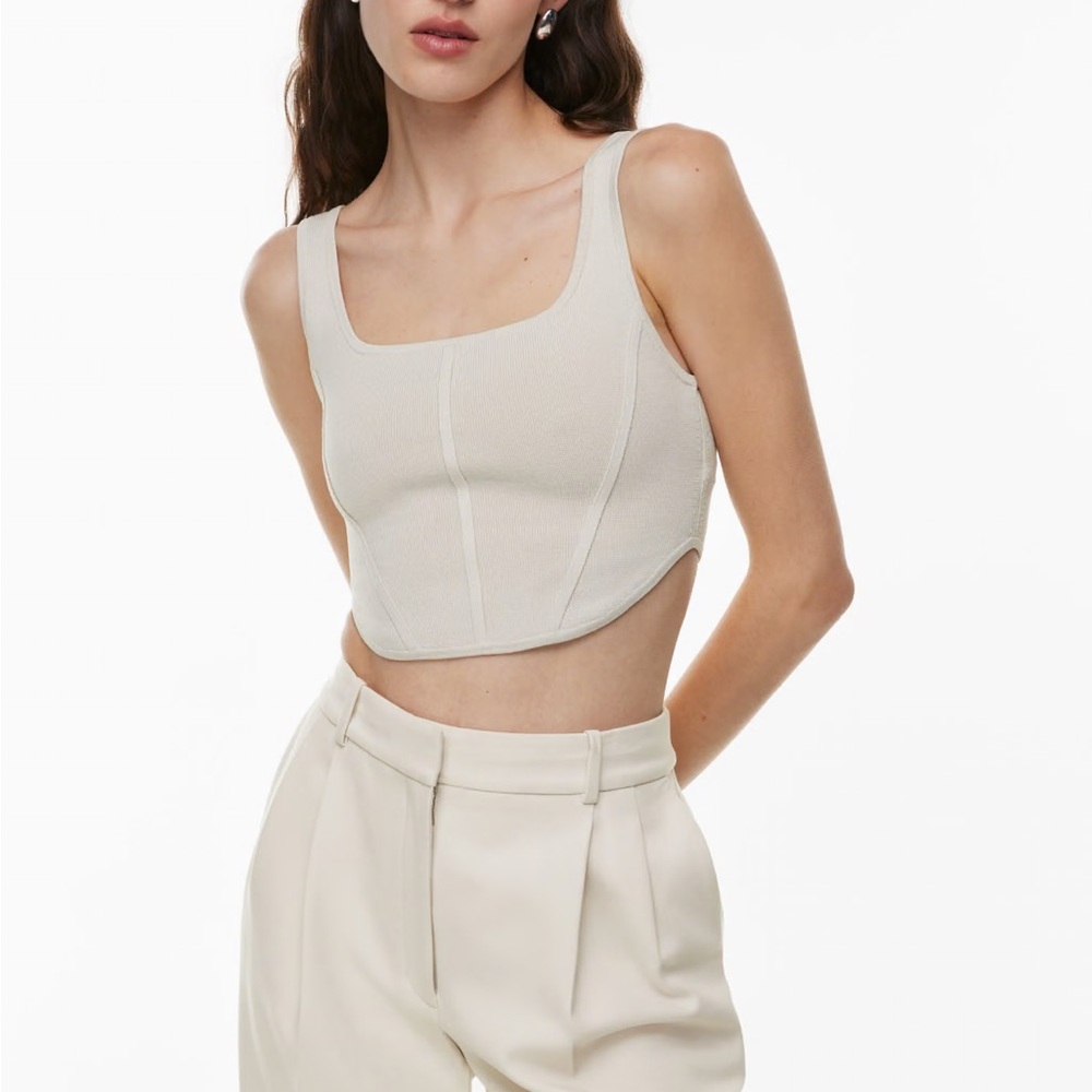 Aritzia Babaton Sculpt Knit Bustier Tank